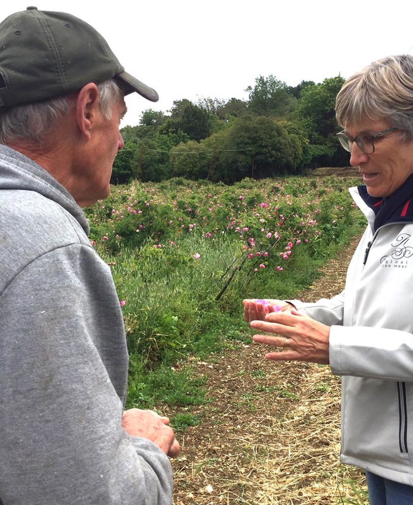 Elisabeth Proal discussing this year's rose harvest with rose farmer Monsieur Joubert